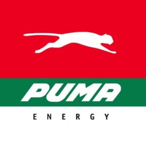 Read more about the article  Territory Manager at Puma Energy June, 2023