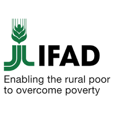 You are currently viewing Driver/Clerk – G-3 at IFAD June, 2023