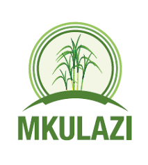 Read more about the article Human Resources Officer at Mkulazi Holding Co. Ltd (MHCL) June, 2023