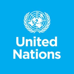 Read more about the article Library Assistant, G-4 at United Nations / IRMCT June, 2023