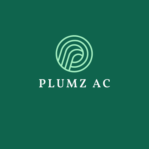 Read more about the article Building Material Sales Executive at PLUMZ June, 2023