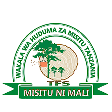Read more about the article Assistant Nursing Officer II (2 Posts) at Tanzania Forest Services (TFS)- Sao hill Forest Plantation June, 2023