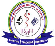 Read more about the article DENTAL LABORATORY TECHNOLOGIST II at Benjamin Mkapa Hospital March, 2023