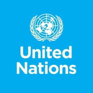 Read more about the article Security Officer (Host Country National Liaison), G4 at United Nations April, 2023