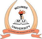 Read more about the article Various Jobs at Mzumbe University May, 2024