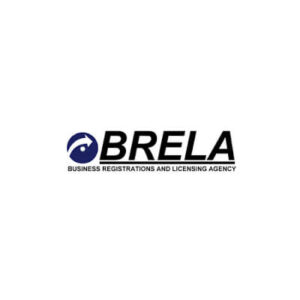 Read more about the article INTERNAL AUDITOR II at BRELA April, 2023