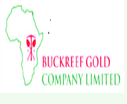 Read more about the article Expression of Interest (EOI) at Buckreef Gold Company Ltd January, 2024