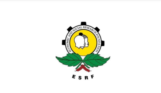 You are currently viewing Executive Director at Economic and Social Research Foundation (ESRF) April, 2023