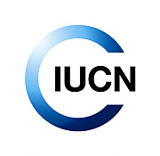 You are currently viewing  Programme Manager, Coastal and Ocean Resilience (COR)-TZ at IUCN April, 2023