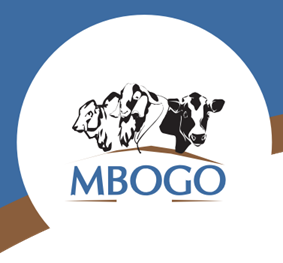 Read more about the article Livestock Manager at Mbogo ranches April, 2023