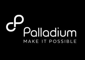 Read more about the article  Deputy Chief of Party at Palladium May, 2023