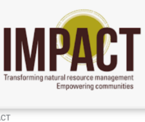 Read more about the article Digital Communications Officer – Africa-based (Anticipatory) at IMPACT Transforming Natural Resource Management October, 2023