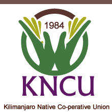 Read more about the article Chief Internal Auditor at Kilimanjaro Native Cooperative Union (1984) April, 2023