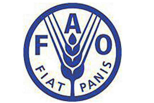 You are currently viewing Data Analyst and GIS Specialist at FAO January, 2024