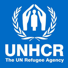 Read more about the article Driver at UNHCR February, 2024