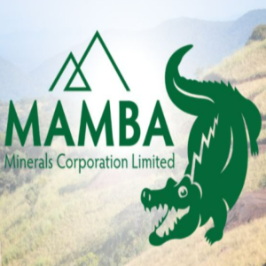 Read more about the article Expression Of Interest at Mamba Minerals Corporation Limited December, 2023