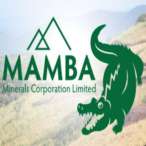 You are currently viewing Expression Of Interest at Mamba Minerals Corporation Limited December, 2023