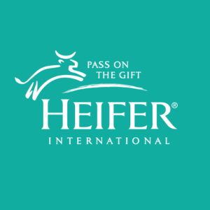 Read more about the article Finance & Administration Officer at Heifer November, 2023
