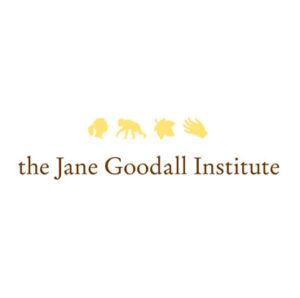 Read more about the article Motor Vehicle Driver at Jane Goodall Institute Tanzania (JGI-TZ) December, 2023