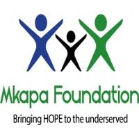 Read more about the article Program Officer at Mkapa Foundation January, 2024