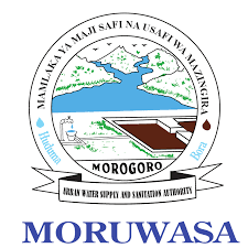 Read more about the article Senior Internal Auditor II at MORUWASA January, 2024