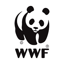 Read more about the article Tender at WWF November, 2023