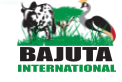 Read more about the article Marketing Manager at Bajuta International (T) LTD February, 2024