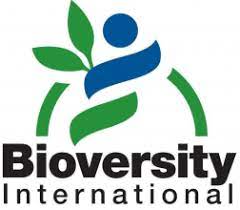 Read more about the article Research Associate at Alliance of Bioversity March, 2024