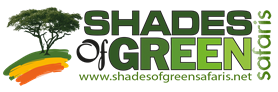 You are currently viewing Auto Mechanic Technician (02 Positions) at Shades of Green Safaris September 2024