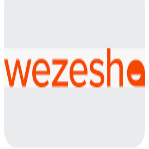 Read more about the article Finance Manager at Wezesha September 2024