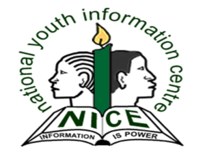 Read more about the article Data Officer at National Youth Information Centre (NICE)October 2024