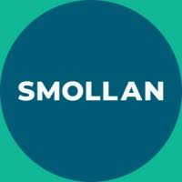 Read more about the article Operations Project Manager at Smollan October 2024