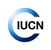 Read more about the article Communication Consultancy at IUCN November 2024