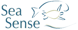 Read more about the article Projects Assistant at Sea Sense November 2024